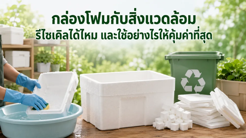 กล่องโฟมกับสิ่งแวดล้อม รีไซเคิลได้ไหม และใช้อย่างไรให้คุ้มค่าที่สุด