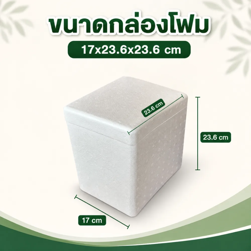 กล่องโฟม 3 กิโลกรัม (ทรงสูง) รายละเอียดที่ 1