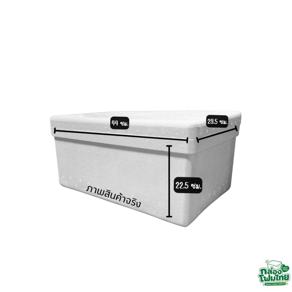 กล่องโฟม 5 KG (แบน) รูปที่ 4