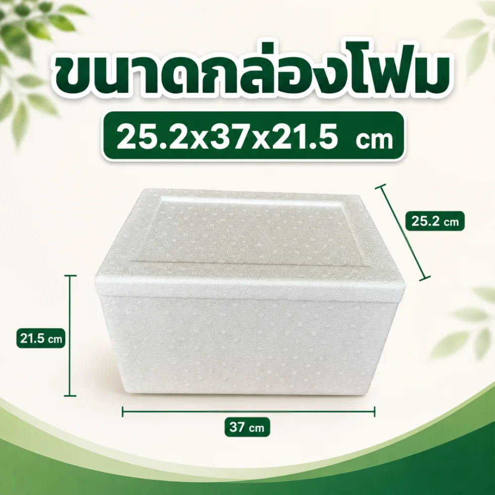 กล่องโฟม 6 กิโลกรัม รูปที่ 2